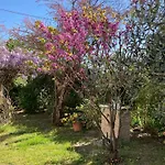 I Gatti E La Volpe Budrio (Ravenna)