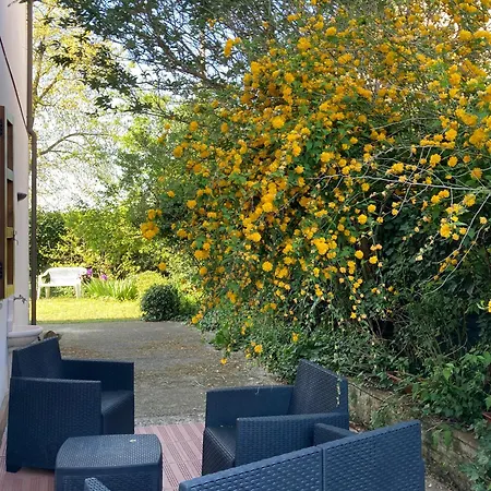 I Gatti E La Volpe Budrio (Ravenna)