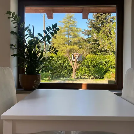 I Gatti E La Volpe شقة *