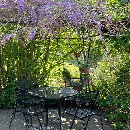 Appartamento I Gatti E La Volpe