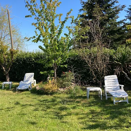 I Gatti E La Volpe *