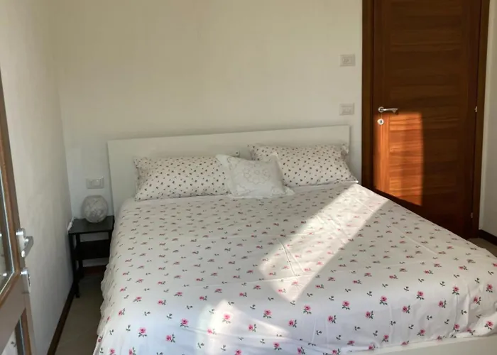 I Gatti E La Volpe Daire *