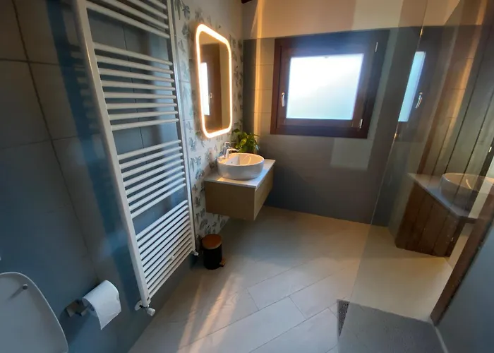 I Gatti E La Volpe Budrio (Ravenna)