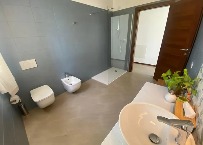 Daire I Gatti E La Volpe