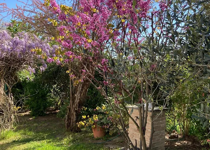 I Gatti E La Volpe Budrio (Ravenna)