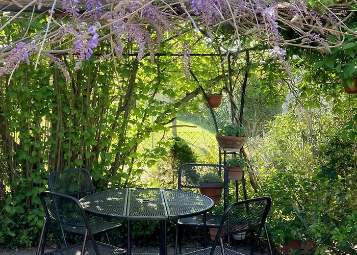 شقة I Gatti E La Volpe