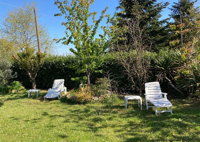 I Gatti E La Volpe *